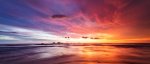 GettyImages-640318118-c83a508.jpg