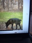 20201127_141008.jpg