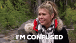 giphy[1].gif