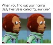 94c4e81f21d7068f3d4c58b87379303b6c5a879e.jpeg