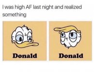 67924AD4-AF69-4FF9-9F7F-70AEEDB43194.jpeg