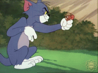 1615179426558.gif
