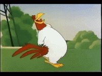 1615326238837.gif
