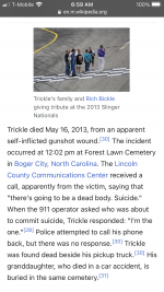 1615381225831.png