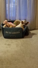 20210308_065831.jpg 20210308_065831.jpg