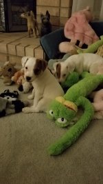 20210309_061913.jpg 20210309_061913.jpg