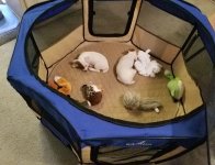 20210306_132325.jpg 20210306_132325.jpg