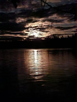 20220516_223030.jpg