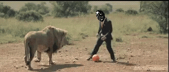 20220529_044108.gif