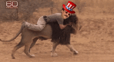 20220529_162047.gif