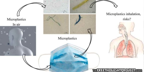 microplastics-in-lungs-1050x525.jpg