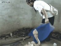 1615898851557.gif