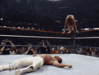 085648A9-F3C6-4F49-963E-8EDEB538B8E4.gif