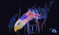 620A4AE4-29C5-4D76-AE69-687C4FA54F0D.gif