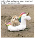 1616208372223.png