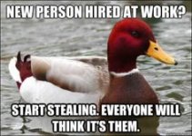 bc887594ff39349d85c4451329664186--drake-mallard.jpg