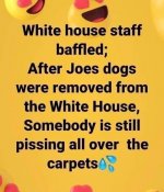 piss.jpeg