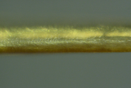 Nanowire-clot-1000x.png.png