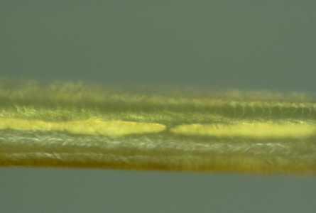 Nanowire-clot-1000x-2.png.png