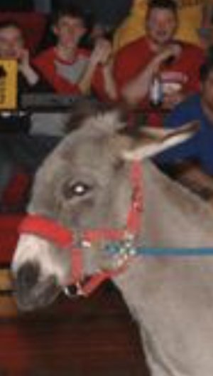 F6F27449-B5D3-4958-85E0-D2DDEB686772.jpeg F6F27449-B5D3-4958-85E0-D2DDEB686772.jpeg