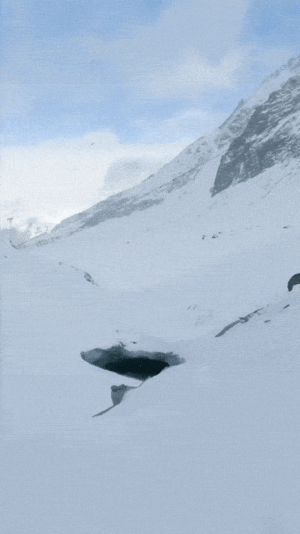 20220629_001321.gif