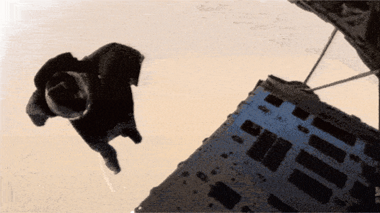 20220629_014836.gif