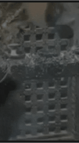 20220701_103452.gif