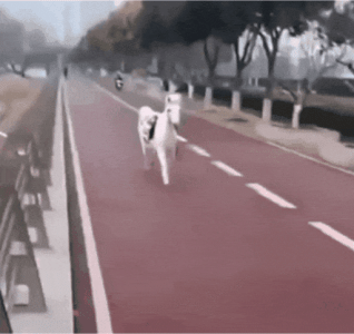 20220702_195306.gif