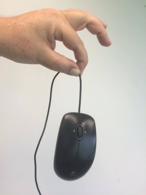 deadmouse.jpg