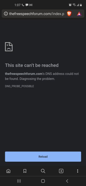 Screenshot_20220712-130751_Brave.jpg