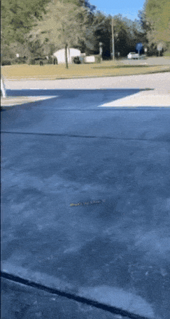 20220715_015312.gif