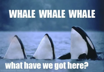 1616685642325.png