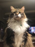 FE804557-F2EE-4F59-BD23-9EC6AF665388.jpeg