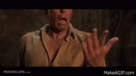 1616733491493.gif