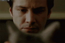giphy (1).gif