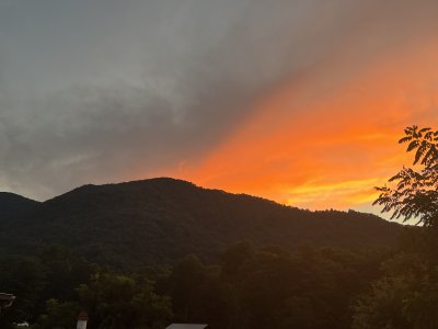 CFBFA74D-148E-4F2E-95F6-59A299E0BC2A.jpeg CFBFA74D-148E-4F2E-95F6-59A299E0BC2A.jpeg