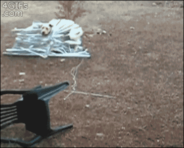 f8ua5Qe.gif f8ua5Qe.gif