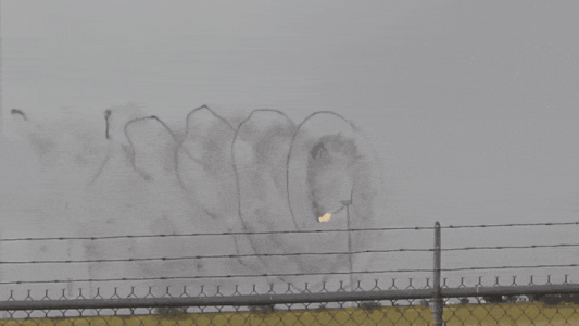 20220725_163704.gif
