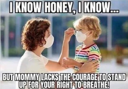 IMG_20220727_124223_407.jpg IMG_20220727_124223_407.jpg