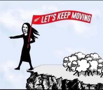 IMG_20220727_113255_441.jpg IMG_20220727_113255_441.jpg