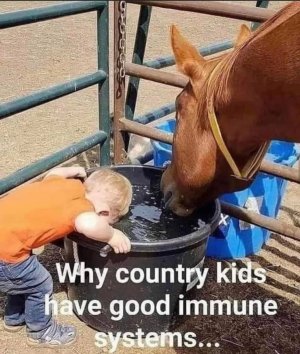 IMG_20220726_121214_549.jpg IMG_20220726_121214_549.jpg