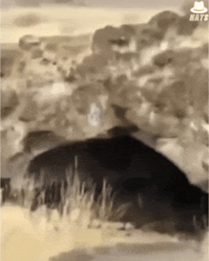 20220730_154842.gif