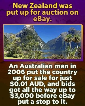FB_IMG_16596905117170451.jpg