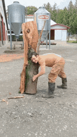 a log.gif