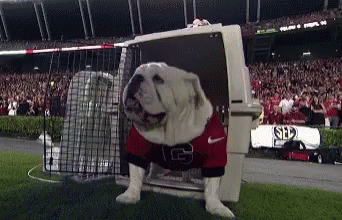 dawgs-uga.gif