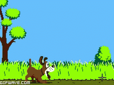 duck-hunt.gif