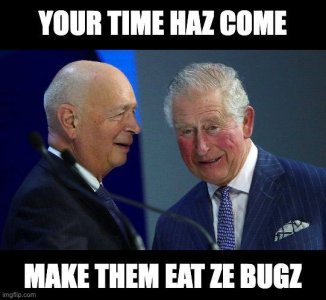 IMG_20220913_172144_334.jpg IMG_20220913_172144_334.jpg