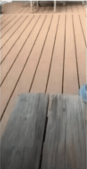 20220910_180417.gif