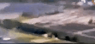 20220917_130635.gif