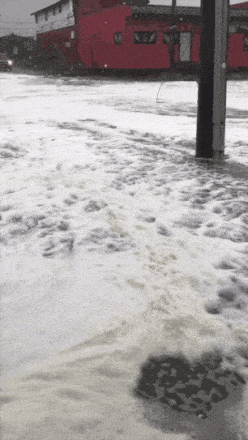 20220919_182428.gif